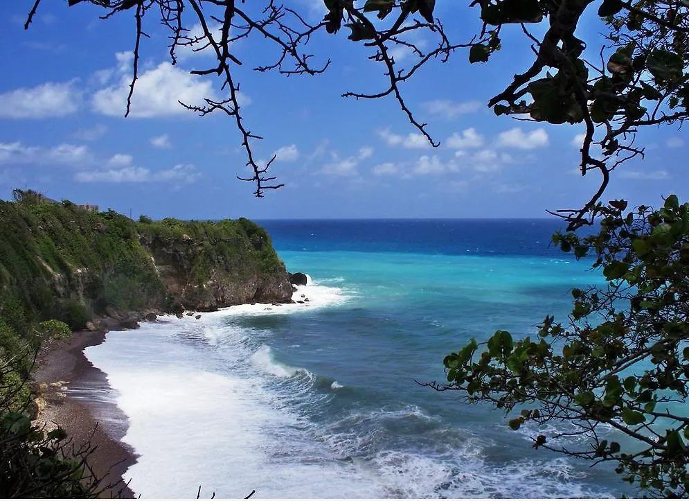 The View At Mystic Ridge Penthouse 78A Apartamento Ocho Rios