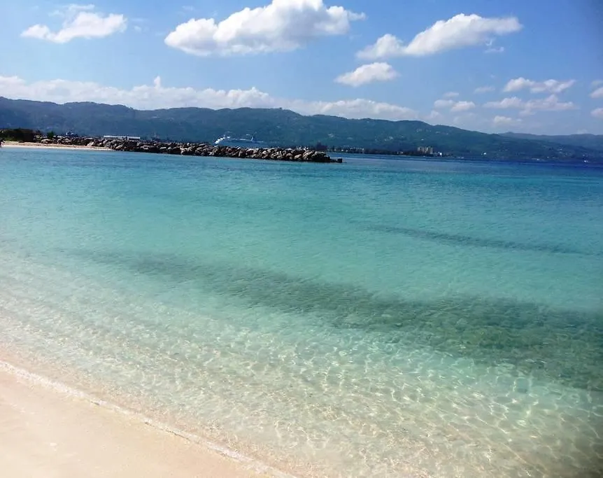 The View At Mystic Ridge Penthouse 78A Apartamento Ocho Rios